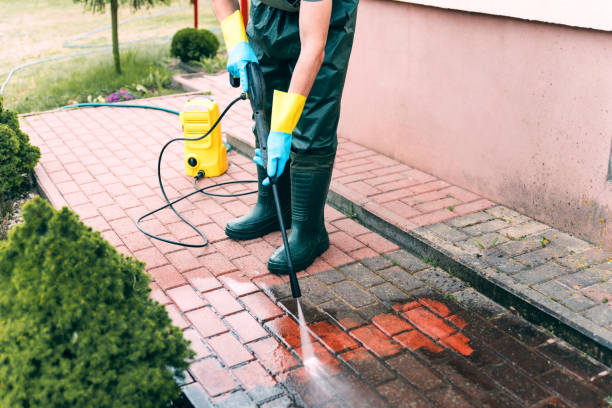 Animal Enclosure Cleaning in Ko Olina, HI